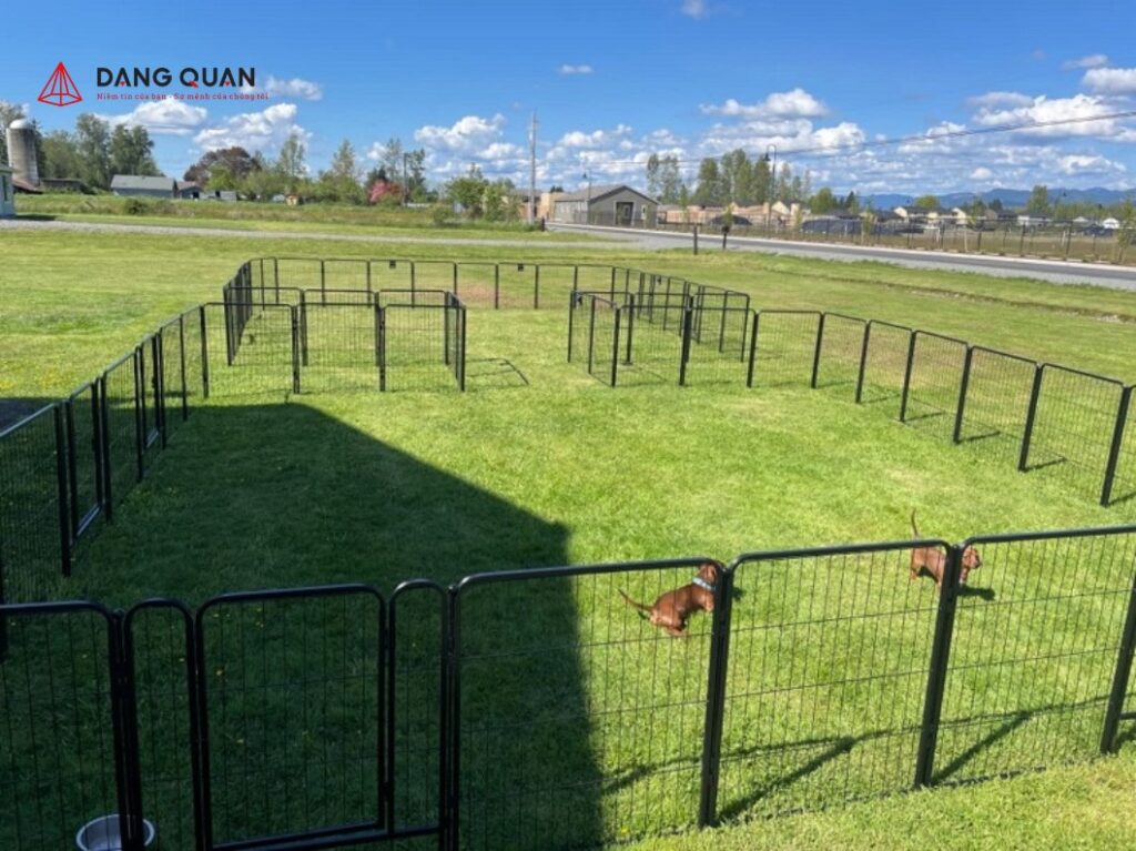 Bộ hàng rào mô-đun quây chó