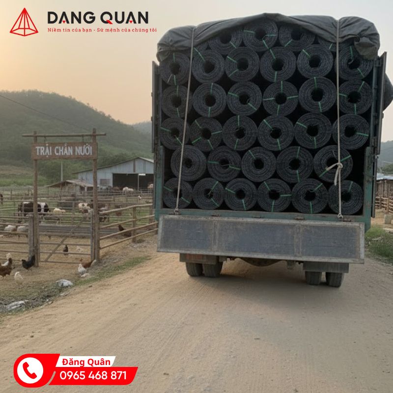hàng rào nhựa sân trại chăn nuôi