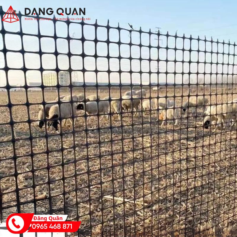 lưới nhựa dẻo làm hàng rào chăn nuôi