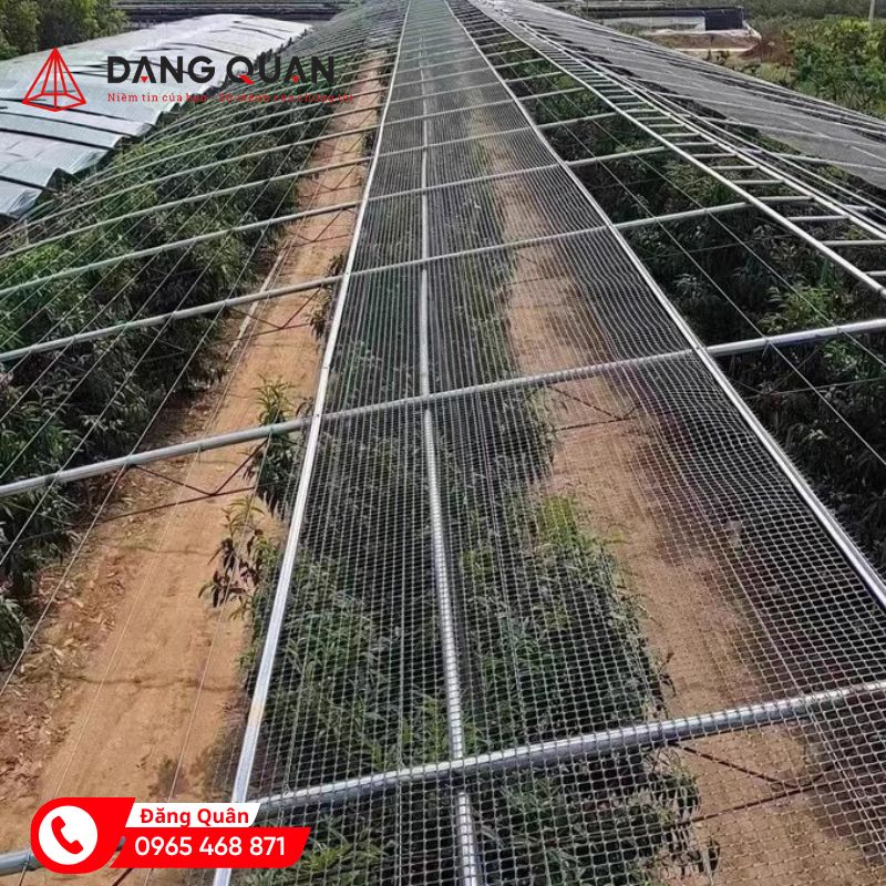 Lưới nhựa dẻo hàng rào - Ảnh 4