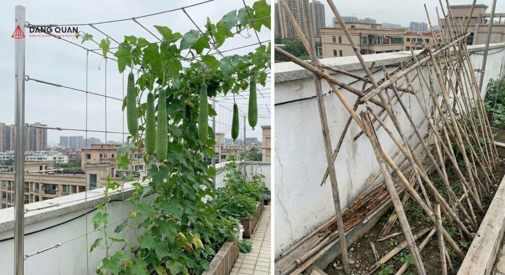 Độ bền giàn mướp dây thép tốt hơn giàn mướp bằng tre