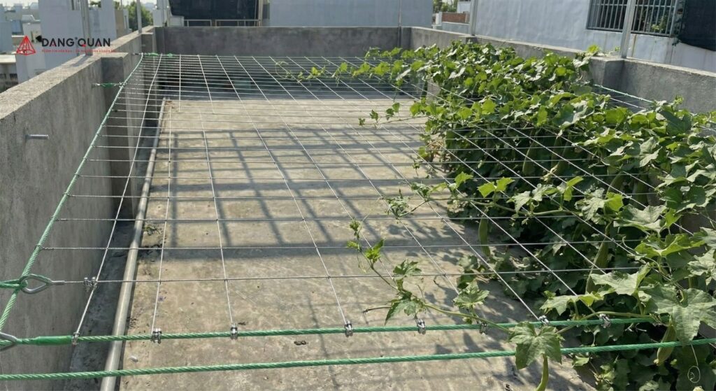 Giàn mướp bằng dây thép hoàn thiện