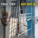 Hai cách liên kết tấm lưới thép hàn với trụ: bên trái thợ đang hàn sợi lưới vào trụ hộp, bên phải bát kẹp mép lưới bắt bu lông vào trụ